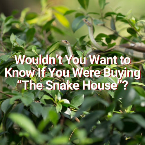 Wouldn’t You Want to Know If You Were Buying “The Snake House”?
