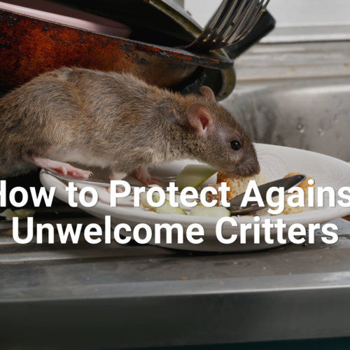 How to Protect Against Unwelcome Critters