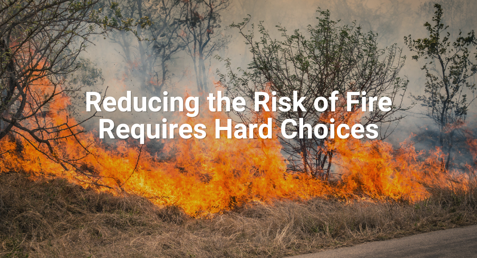 SSR - Reducing the Risk of Fire Requires Hard Choices