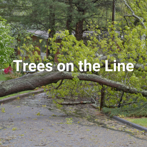 Trees on the Line