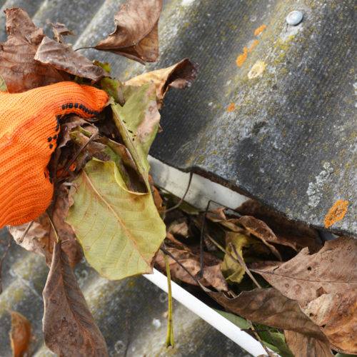 Spring Cleaning to Avoid Disaster – Part II