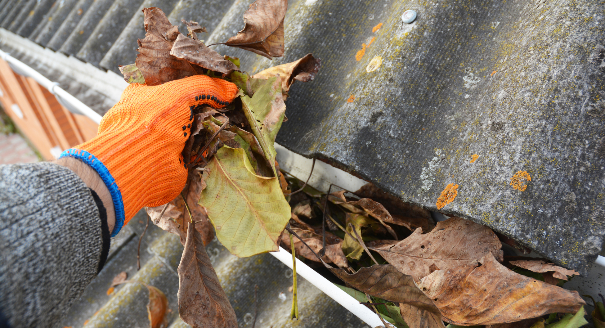 Spring Cleaning to Avoid Disaster II