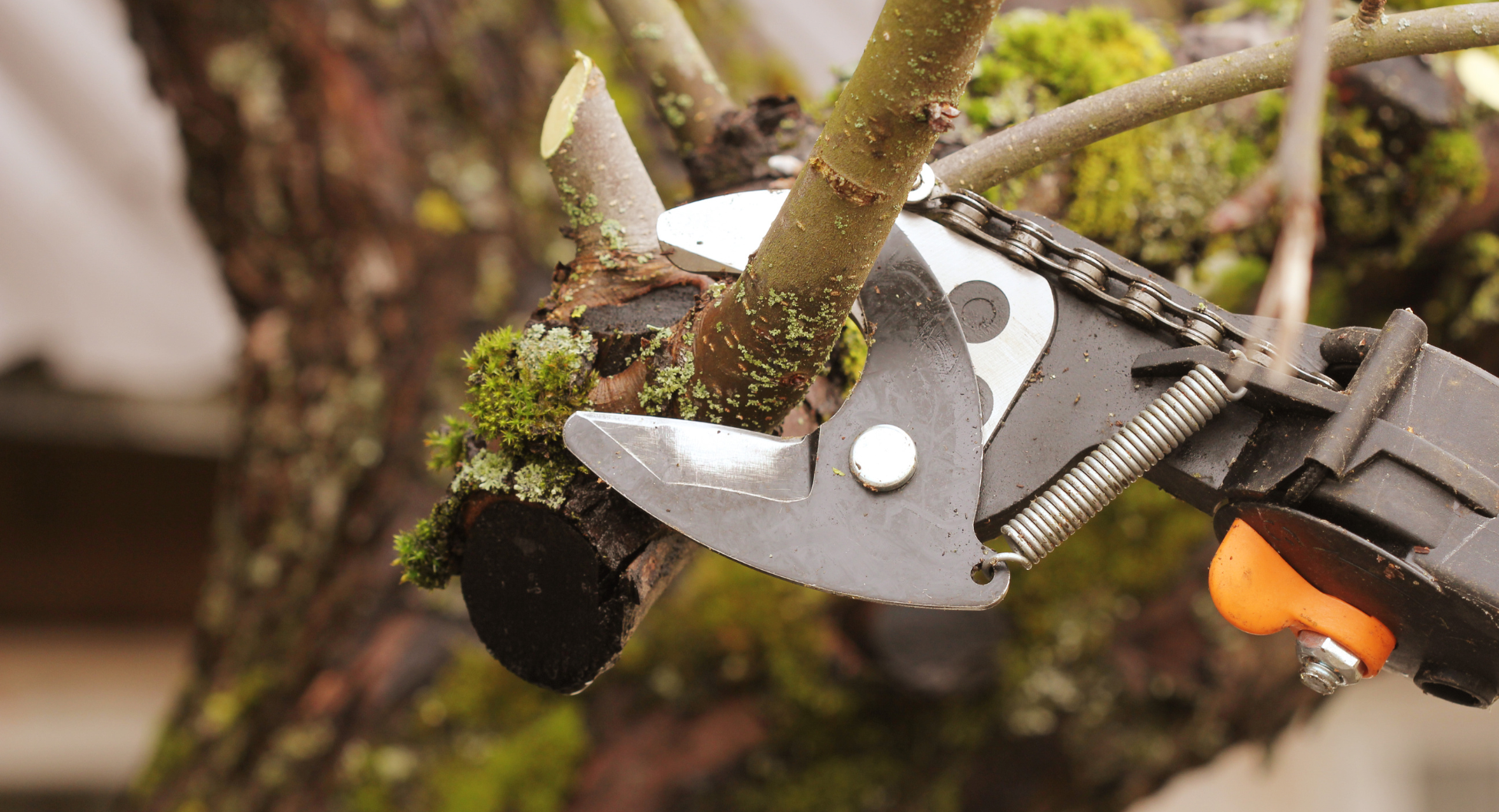An Ounce of Prevention – Home Safety Edition Part II