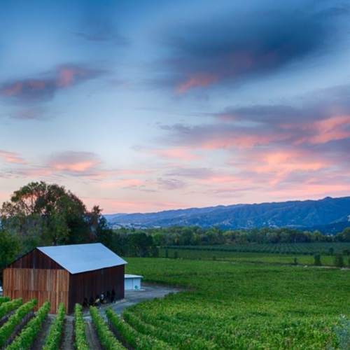 Why Ukiah?