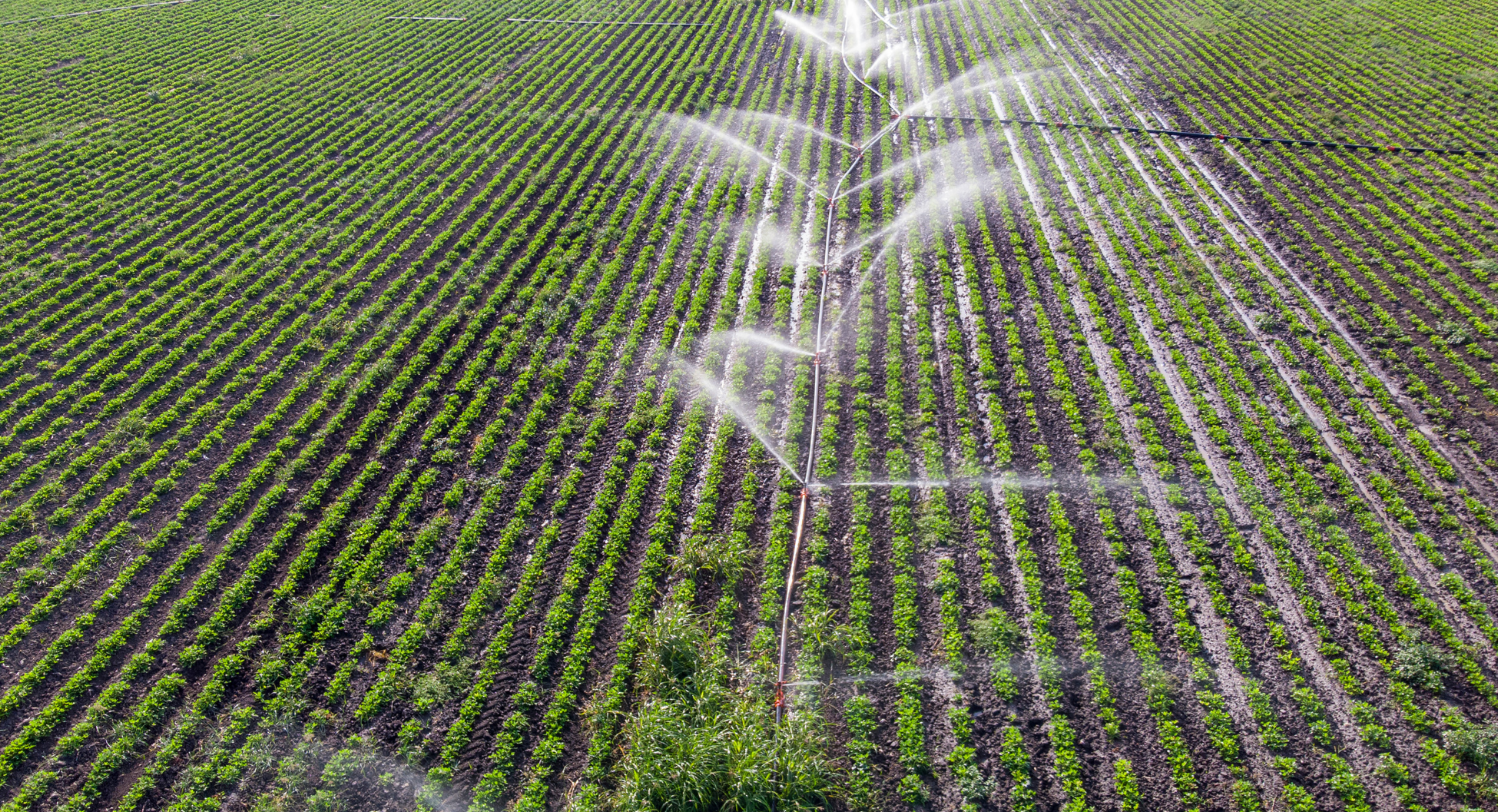 Recycled Water