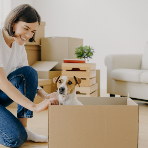 Small landlords won’t have to accept pets—others will.