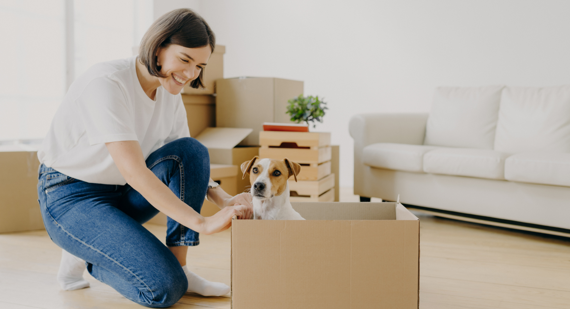 Pet Rent