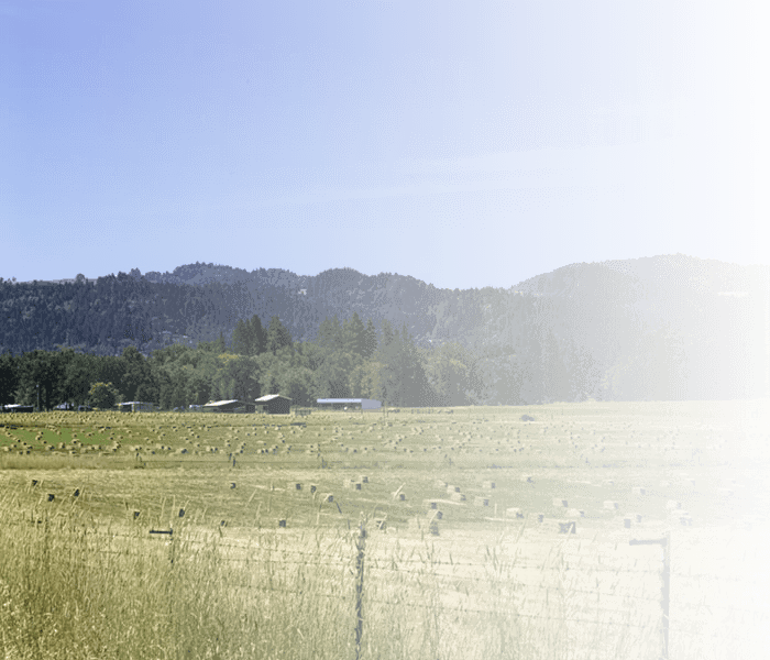 Selzer-Realty-and-Associates-Laytonville-Office-transparent