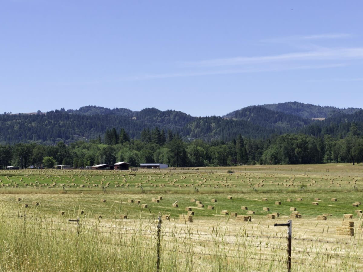 Laytonville-Real-Estate