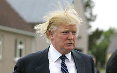 Donald Trump's Hair