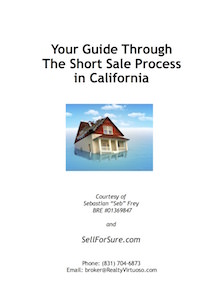 Short Sale Guidebook