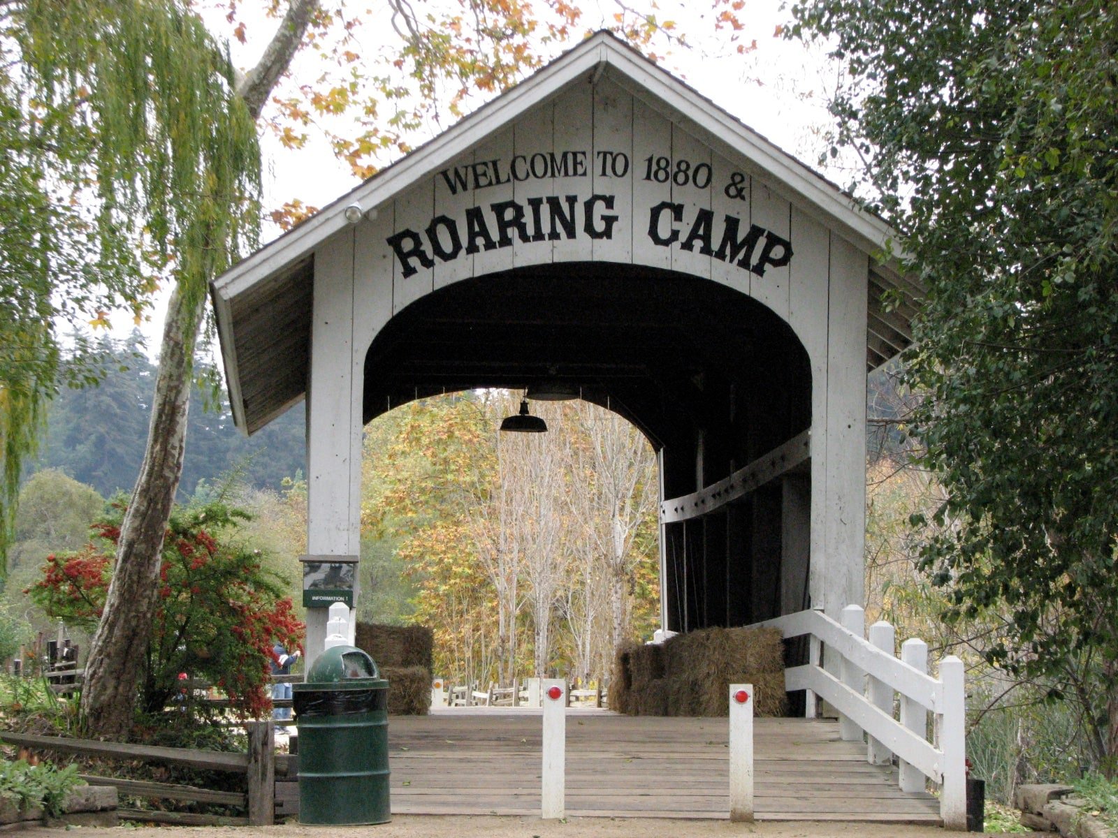 Roaring Camp Railroad Bridge