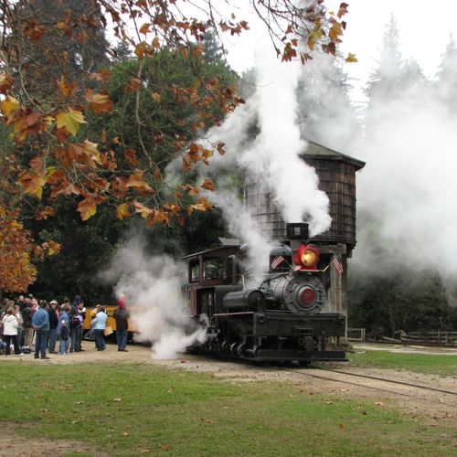 Discover Roaring Camp Railroad in Santa Cruz