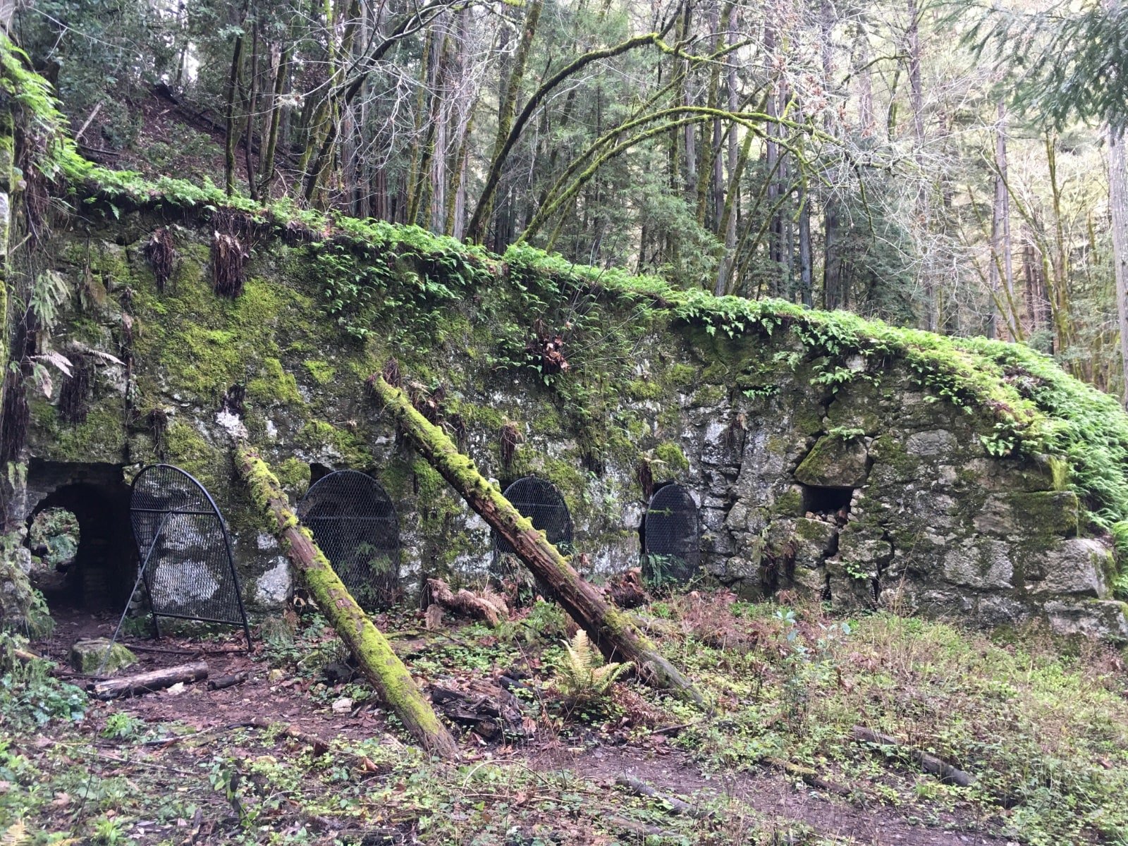 Henry Cowell Limekilns