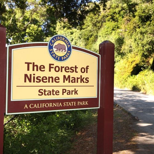 The Forest of Nisene Marks State Park