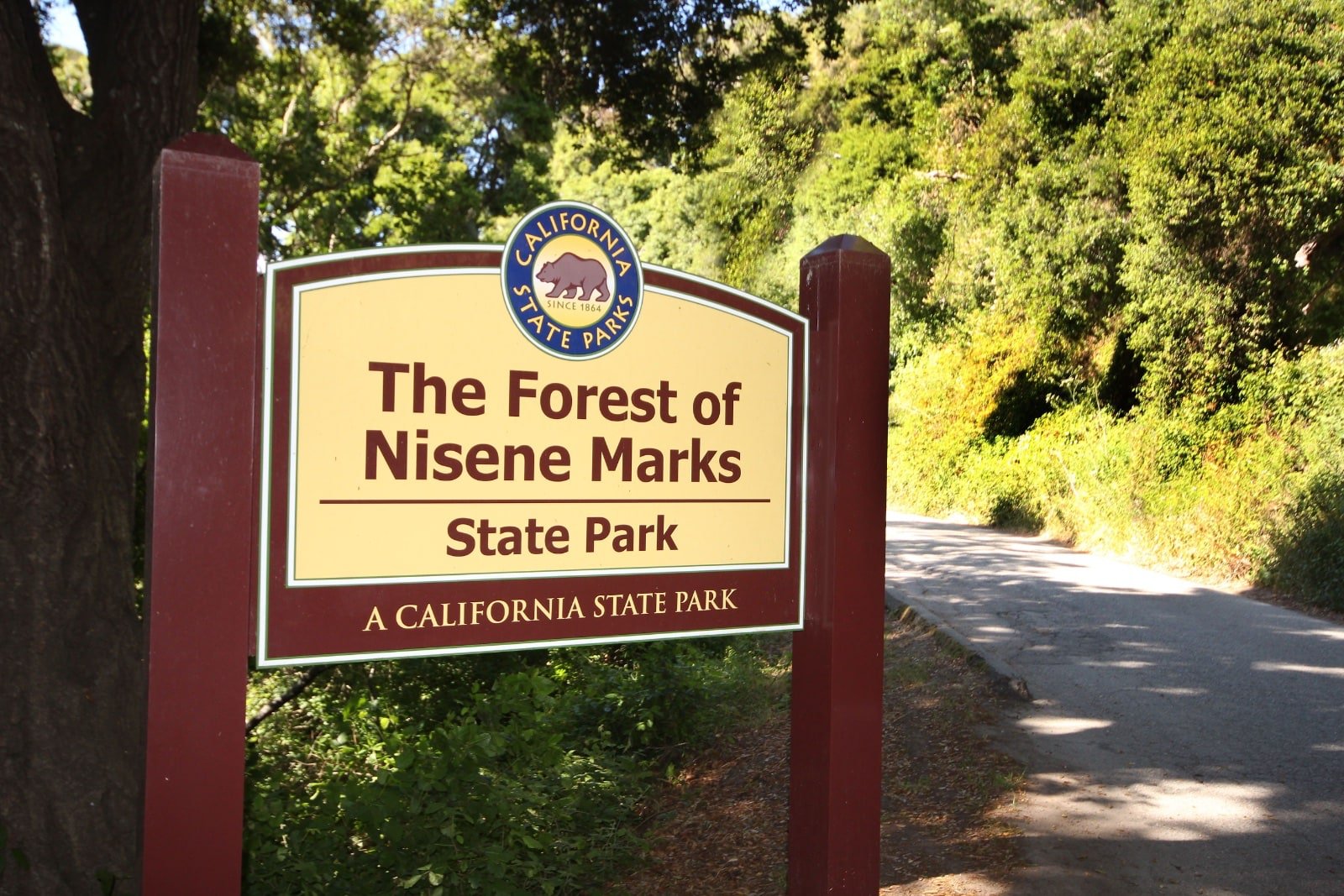 Nisene_marks_sign1