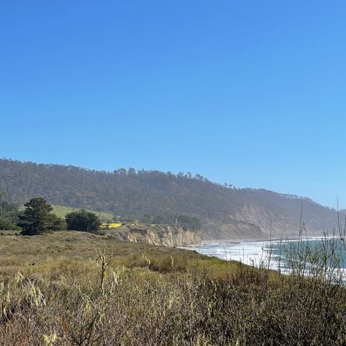 Año Nuevo State Park