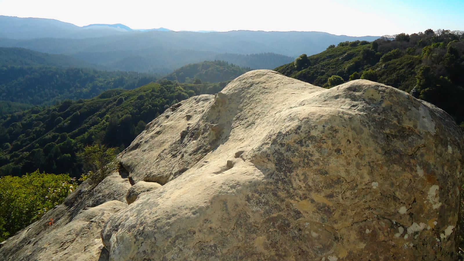 Sandstone outcrop and forested hills at Castle Rock State Park