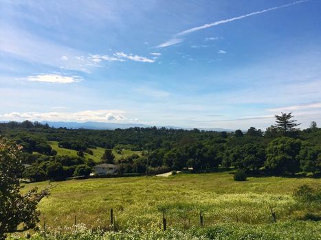 corralitos-watsonville-meadow-2-2