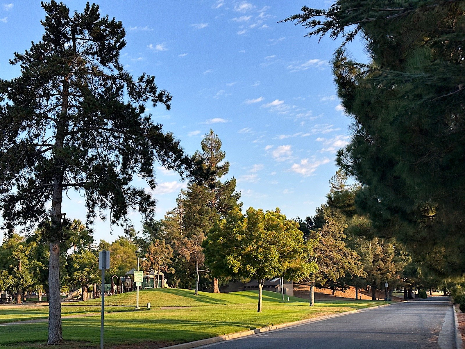 Cupertino Sports Complex Field