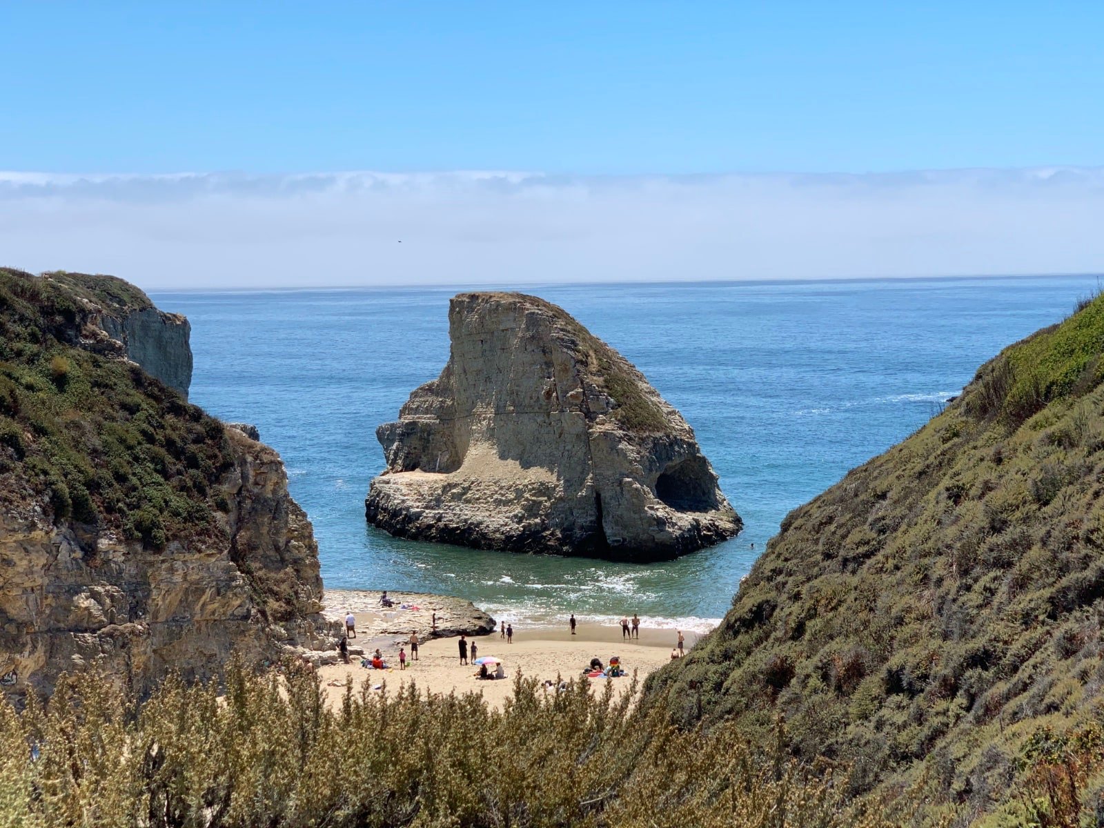 Davenport Shark Fin Cove