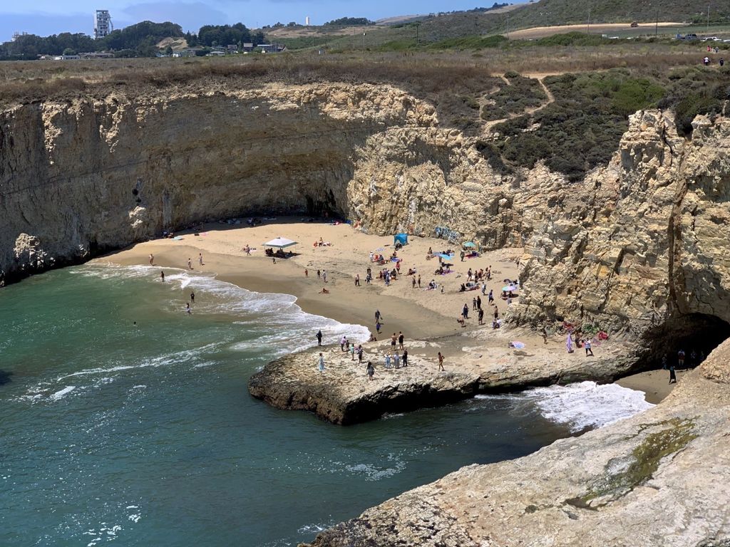 Davenport Shark Fin Cove