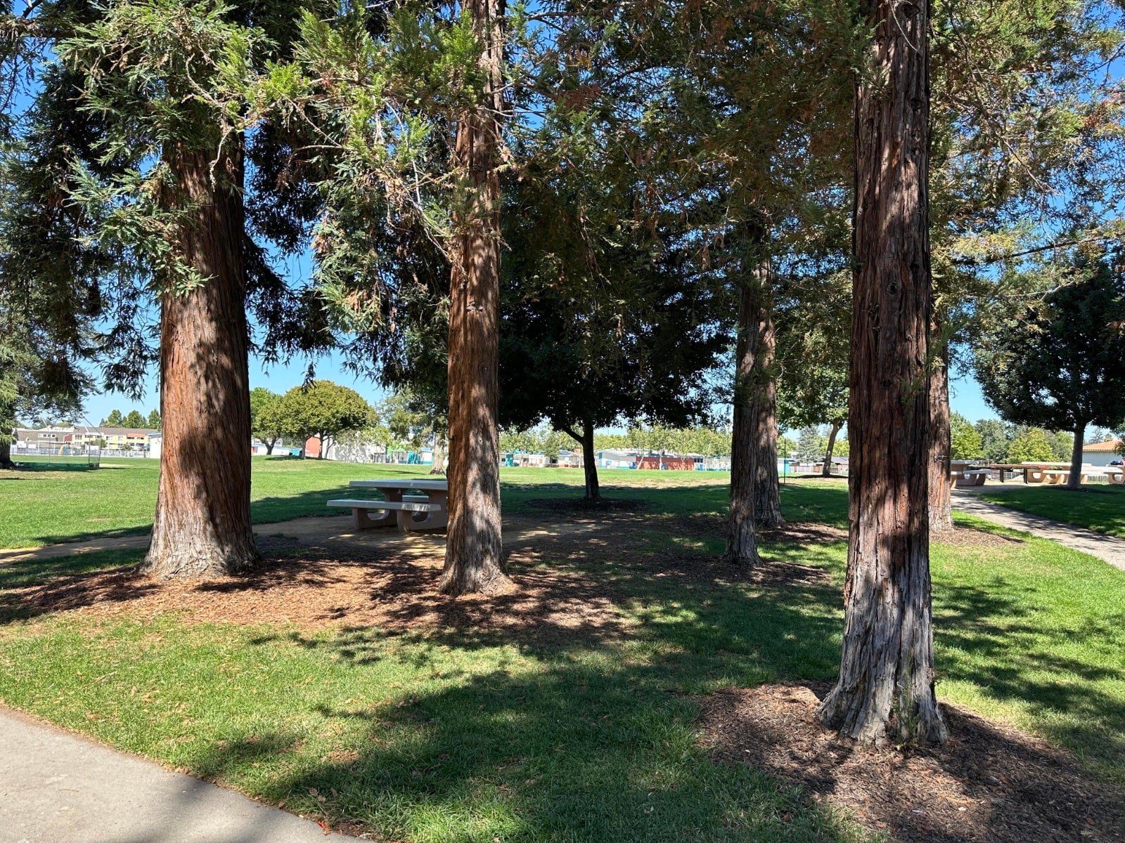 John D. Morgan All Inclusive Playground Redwood Grove