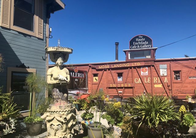 moss-landing-gallery