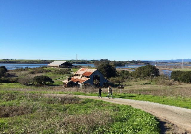 moss-landing-preserve