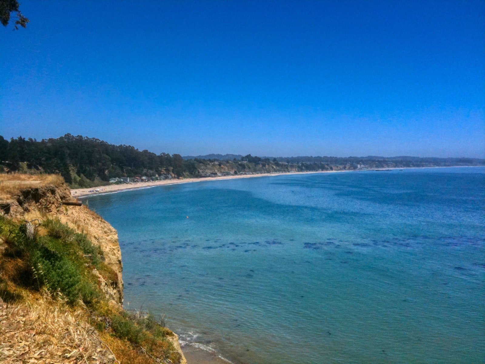 New Brighton State Beach