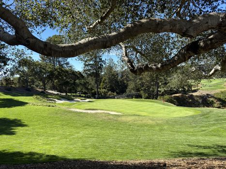 pasatiempo-oak-trees-course-2