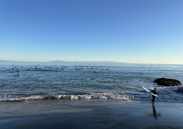 pleasuer-point-surfers