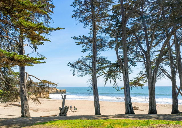 pleasure-point-sunny-cove-beach-trees