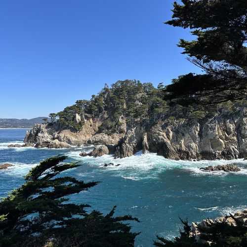 Exploring Point Lobos, the Crown Jewel of California State Parks