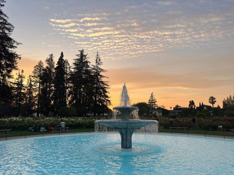 rose-garden-san-jose-fountain-1600w
