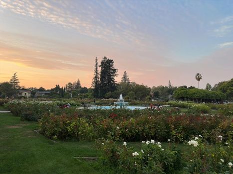 rose-garden-san-jose-fountain-flowers-1600w