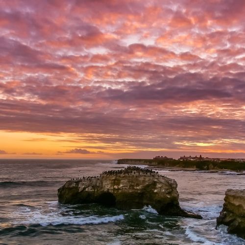 Best Luxury Neighborhoods in Santa Cruz