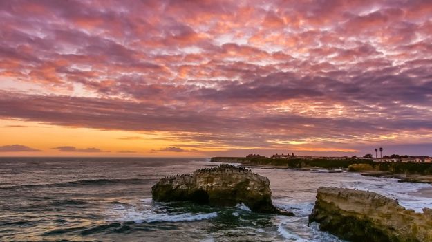 Santa Cruz Luxury Neighborhoods