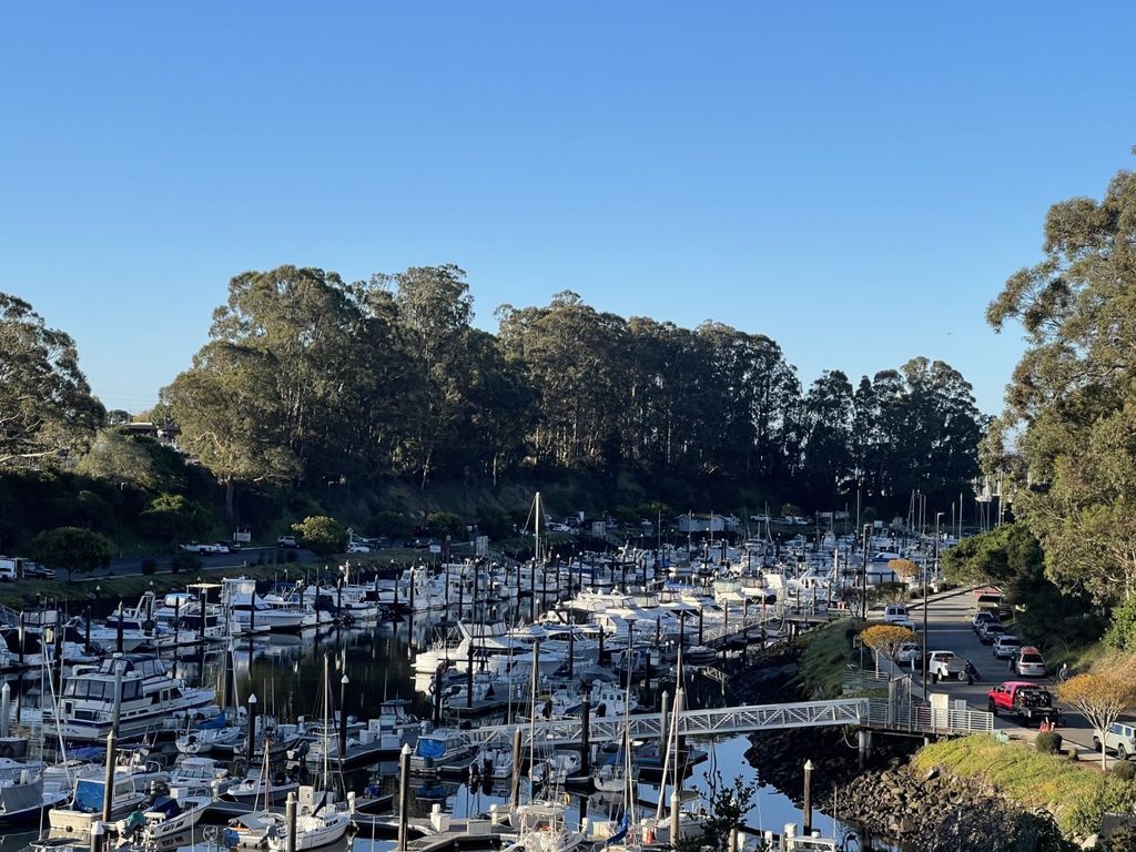 santa-cruz-upper-harbor