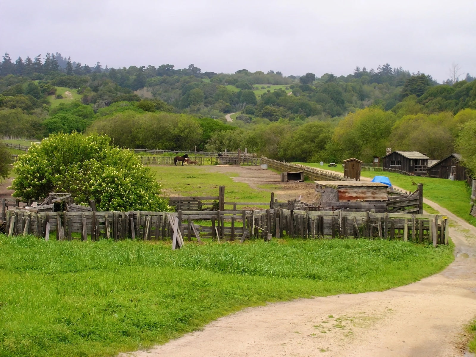 Exploring Wilder Ranch State Park