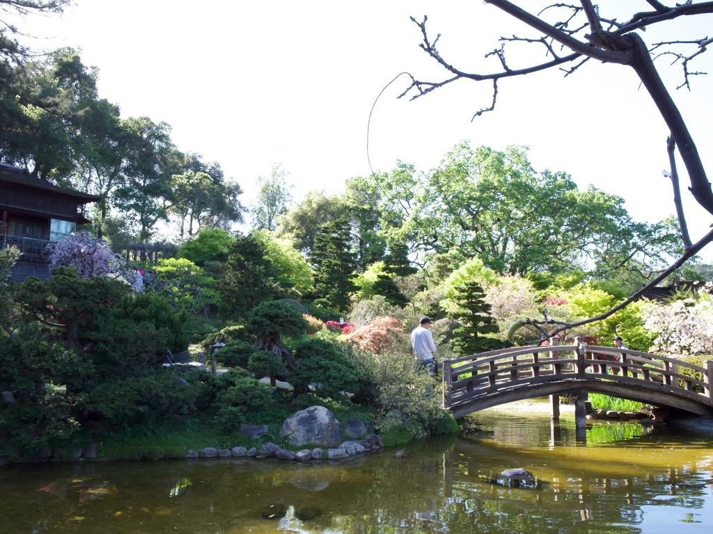 saratoga-hakone-gardens-bridge