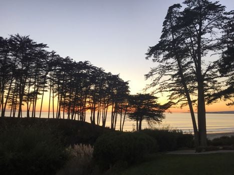 seascape-resort-sunset-trees