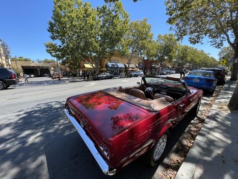 willow-glen-cool-cars-2