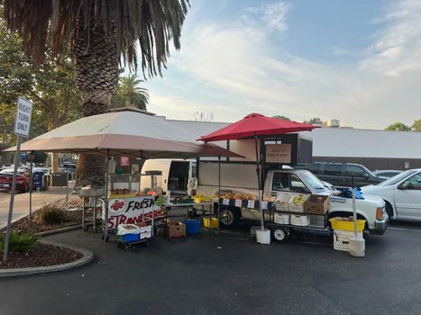 willow-glen-farm-stand-2