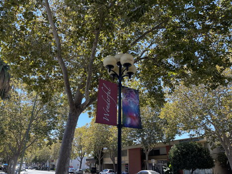 willow-glen-street-banner-2