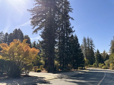 woods-cove-landscaping