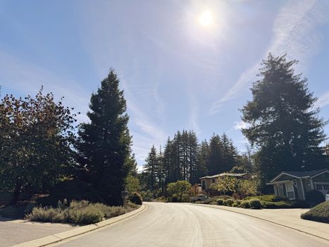 woods-cove-street-scene