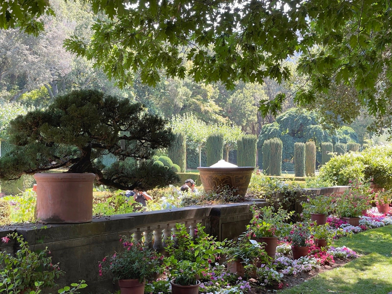 filoli-garden