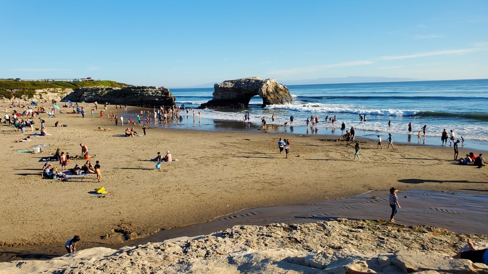 Natural Bridges State Beach in Santa Cruz