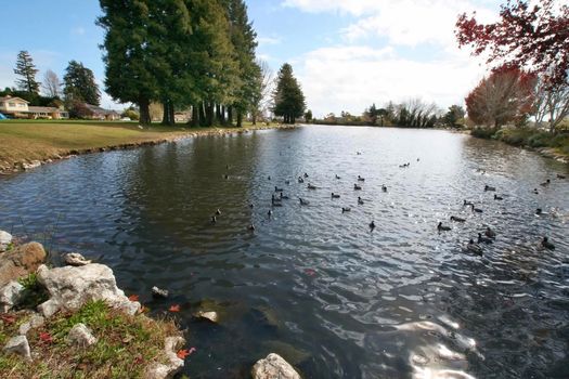 santa-cruz-westlake-1600w